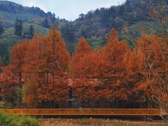 -东白山