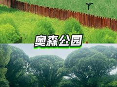 -朝阳公园