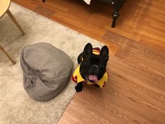 -仁华宠物医院(青羊店)