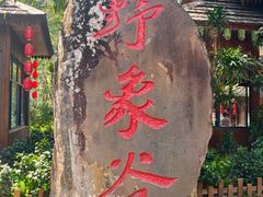 -野象谷景区