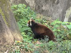 -昆明动物园