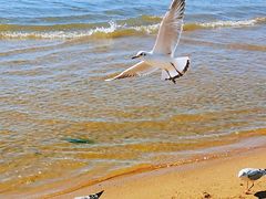 -金梦海湾浴场