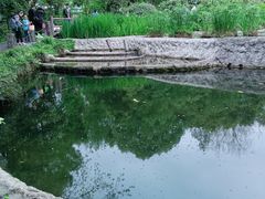 -成都市活水公园