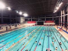 -南山文体中心-游泳馆