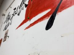 -小尹土菜
