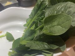 -喃喃椰·糟粕醋·椰子鸡火锅(七堡花园店)
