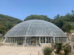 -深圳仙湖植物园