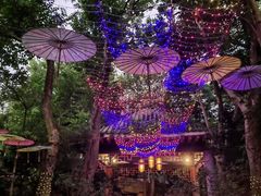 -海口观澜湖火山温泉谷