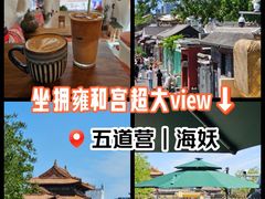 -Sirena海妖日咖夜酒