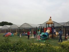 -菊园百果园
