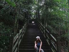 -凤栖山