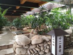 -三江森林温泉度假区