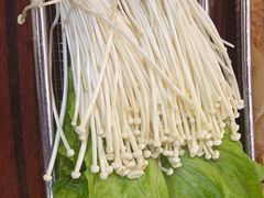 -沙胆彪炭炉牛杂煲(成都玉林店)