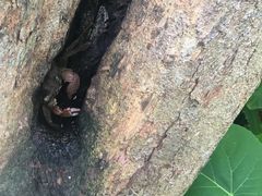 -龙坑生态保护区