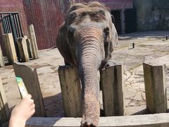 -大连森林动物园