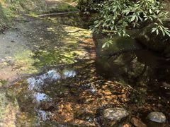 -赤水丹霞旅游区·佛光岩