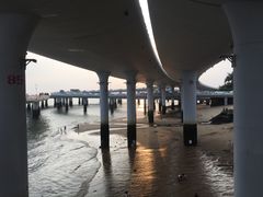 -演武大桥观景平台