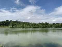 -东莞植物园