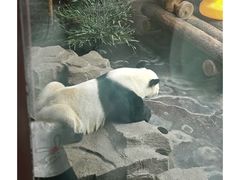 -济南野生动物世界