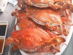 -胖大嫂渔家排档·全海景餐厅(渔村店)