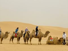 -银肯塔拉沙漠生态旅游景区