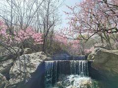 -封龙山风景区
