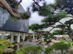 -罗红摄影艺术馆