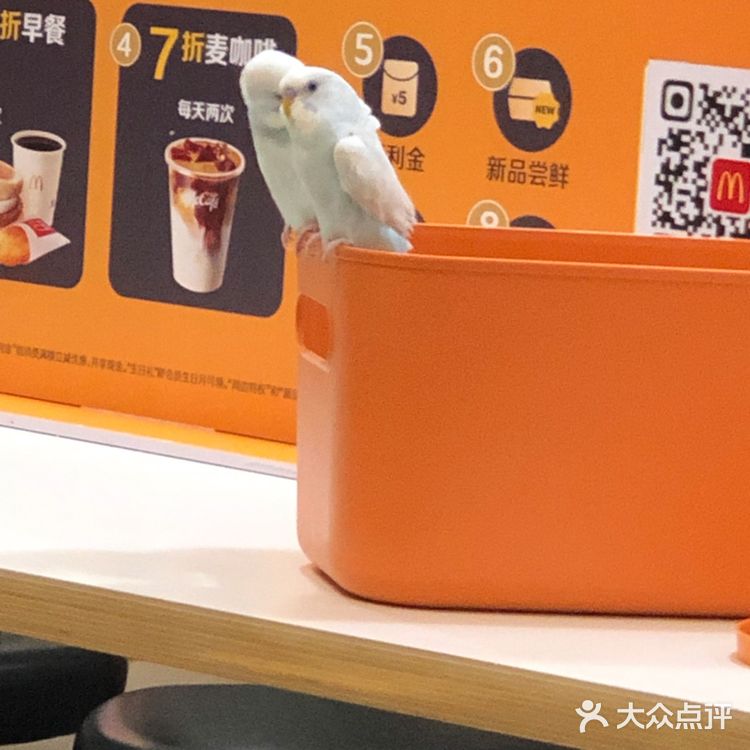 来一个 圆筒冰淇淋  麦当劳