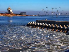 -北戴河碧螺塔海上酒吧公园