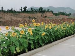 -张家山