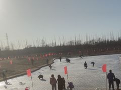 -绿野森林乐园冰雪季