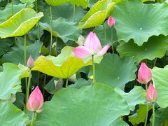 -丝绸小镇荻港古村