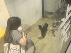 -废柴猫概念馆·桌游电玩卡牌(人广世茂店)