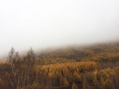 -塞罕坝国家级自然保护区