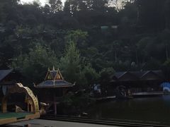 -西双版纳原始森林公园