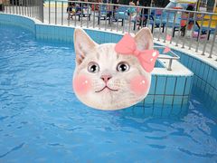 -青年湖公园水上世界
