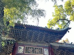 -晋祠公园