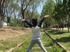 -永定河休闲森林公园