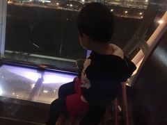-影汇之星8字形摩天轮