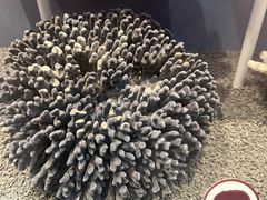-中国湿地博物馆
