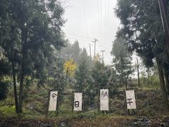 -山王坪喀斯特国家生态公园