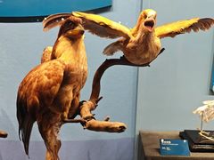 -国家自然博物馆