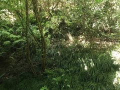 -梦姑塘文化公园