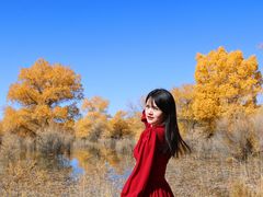 -金塔沙漠胡杨林景区
