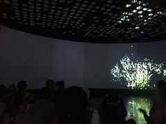 -同济大学四平路校区深海探索馆
