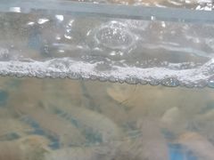 -抹直口特色菜馆(一店)