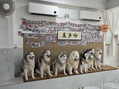 -星多哈·狗咖·拼豆·咖啡