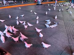 -万达广场(广州番禺店)