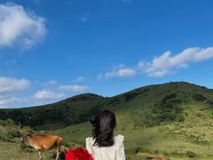 -大姆山草场