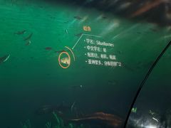 -大庆市博物馆